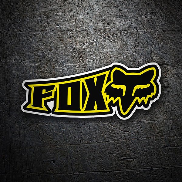 Masques Motocross  Fox Racing® France