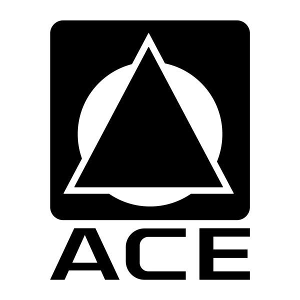 Camper van decals: Ace logo