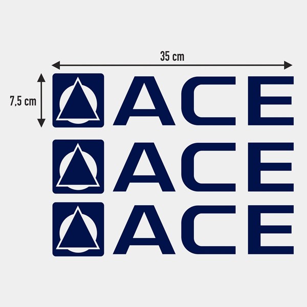 Camper van decals: Ace x3