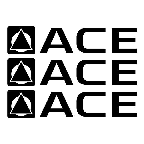 Camper van decals: Ace x3