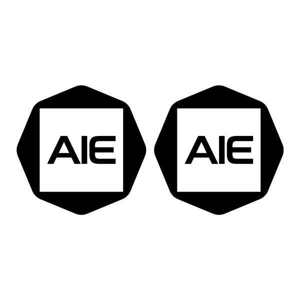 Camper van decals: Logo Aie