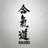 Car & Motorbike Stickers: Aikido 2