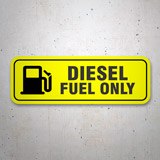 Camper van decals: Diesel fuel only 3