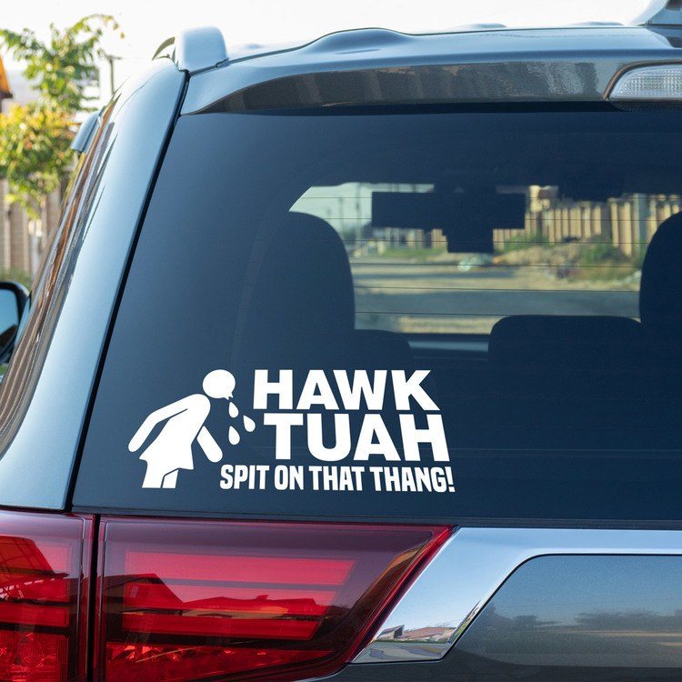 Car & Motorbike Stickers: Hawk Tuah