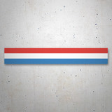 Car & Motorbike Stickers: Stripes Renault Alpine Classic 3