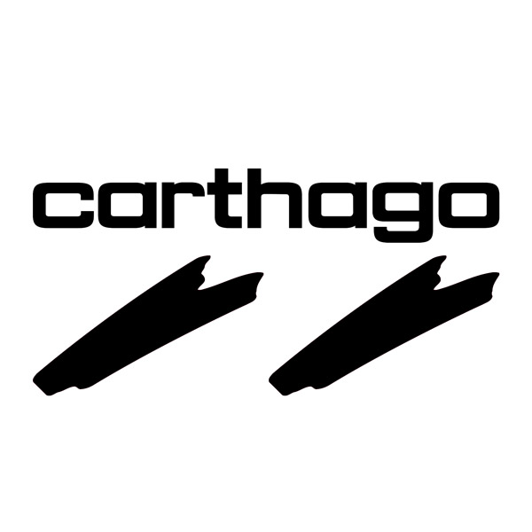 Camper van decals: Carthago