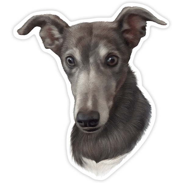 Sticker dog Rampur Greyhound | MuralDecal.com