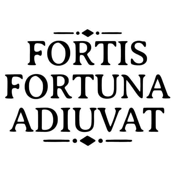 T-Shirt - Fortes Fortuna Adiuvat (Size: 2XL)