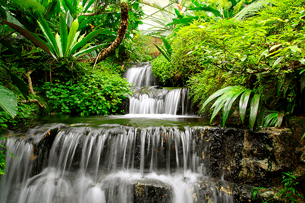 Wall mural Waterfalls in the tropical garden | MuralDecal.com