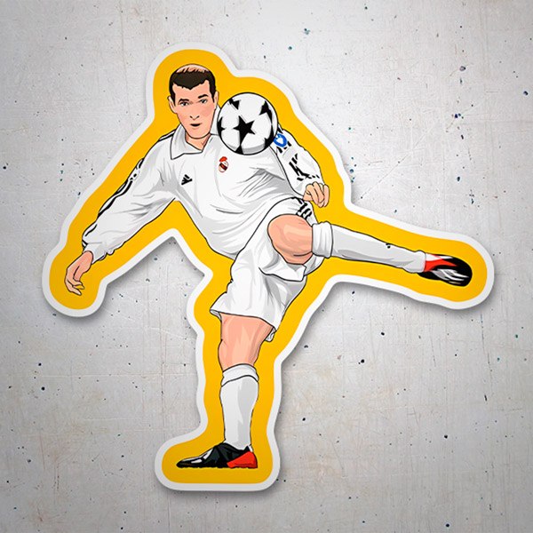 Car & Motorbike Stickers: Zidane