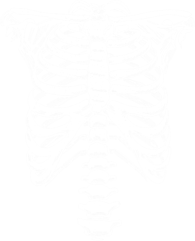 T-shirts: Skeleton T-Shirt for Halloween