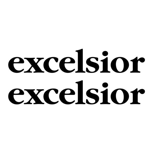 Camper van decals: Excelsior