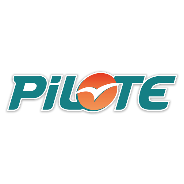 Camper van decals: Turquoise Pilote